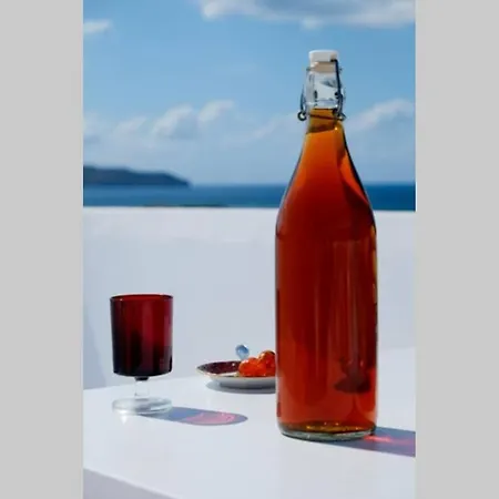 Roof Garden Seaside Lux Apartment Chania (Crete)