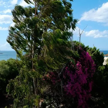 Roof Garden Seaside Lux